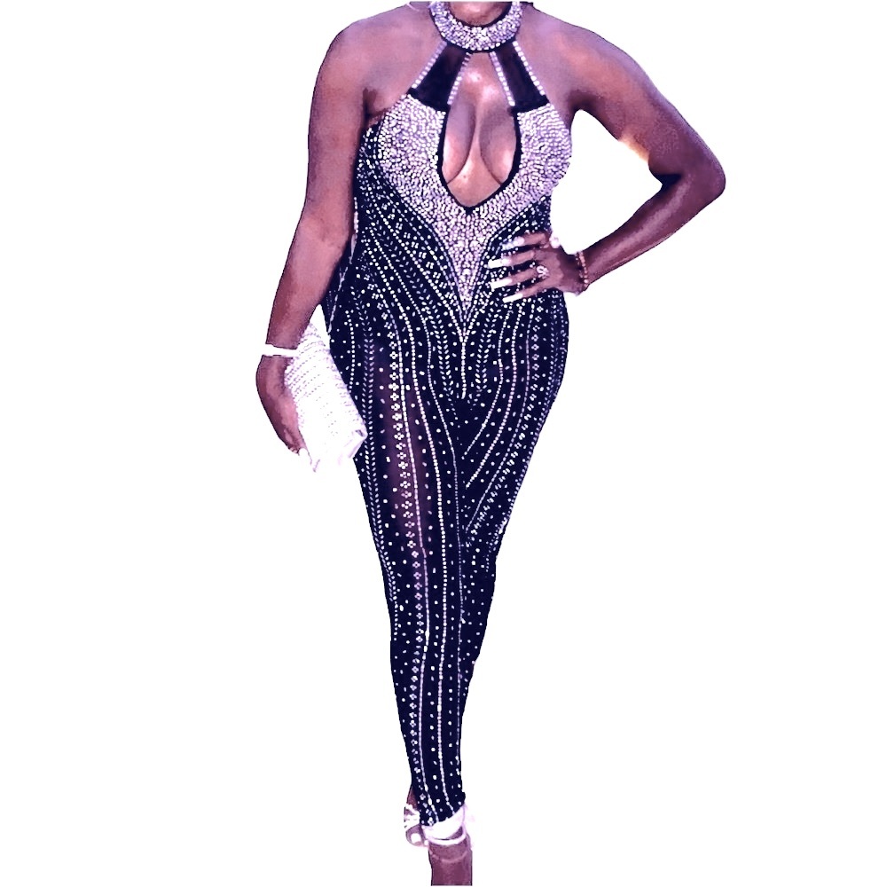 NWOT Banjul rhinestone embellished sheer black jumpsuit